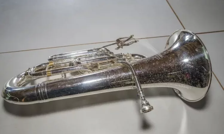 2017 Maiwecken Maiwecken 015