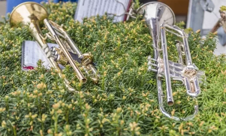 2017 Maiwecken Maiwecken 022