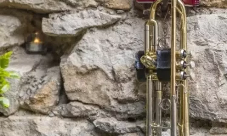 2017 Maiwecken Maiwecken 054