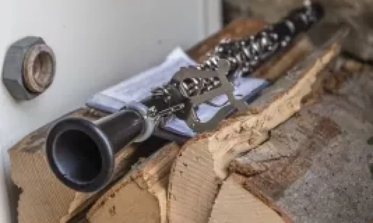 2017 Maiwecken Maiwecken 058