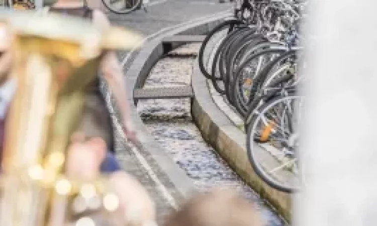 2017 Tag der Musik Oberlinden Tag der Musik 004