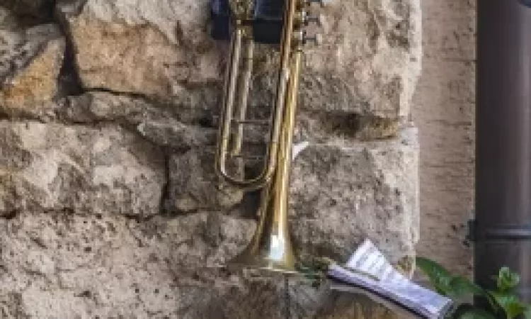 2018 Maiwecken Maiwecken 0062