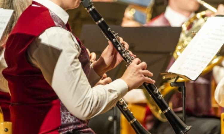 2023 Frühjahrskonzert Drei Vereine 01.04. 3 Vereine 1 Konzert 0057
