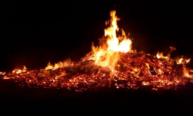 2024 Scheibenfeuer Tiengen IMG-20240218-WA0042