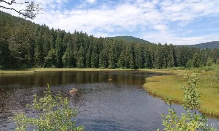 2024 Sommerabschlußwanderung 19b 2024-07-28 um 18.49.26_73cd761d