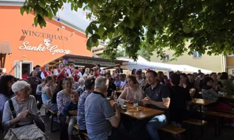 2025 Weinfest St.Georgen WhatsApp Bild 2025-05-11 um 18.49.22_35ba43ba
