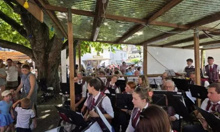 2025 Weinfest St.Georgen WhatsApp Bild 2025-05-11 um 18.49.22_9d5d6fa9
