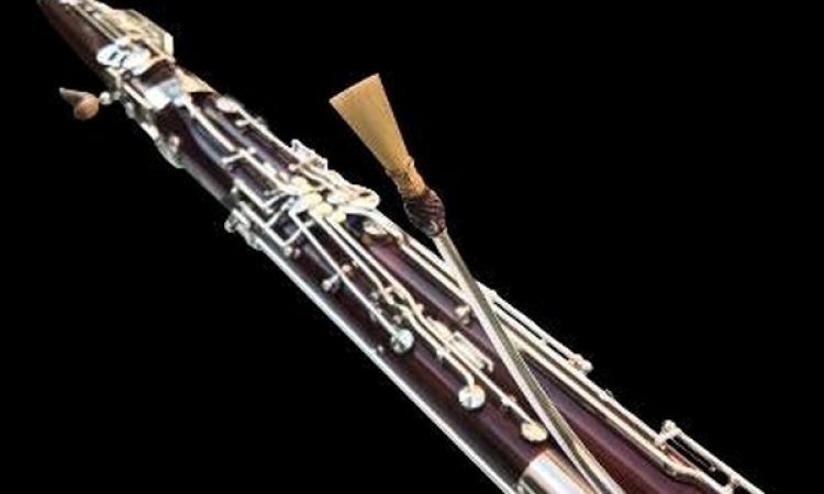 Instrumentenvorstellung Fagott 002