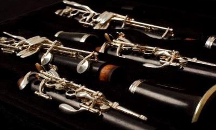 Instrumentenvorstellung Klarinette 004